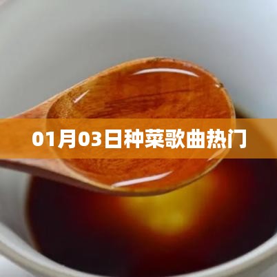 种菜歌曲风靡榜,热门排行揭晓