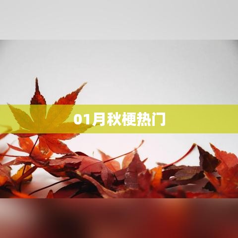 秋梗风潮,一月热议话题全解析