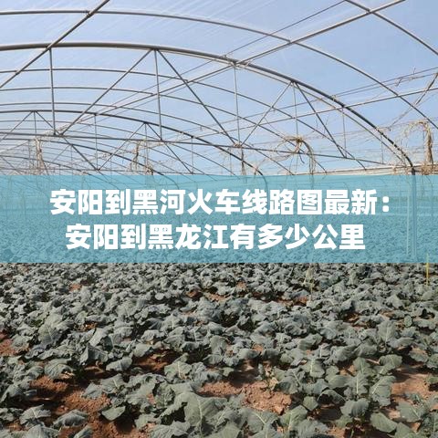安阳到黑河火车线路图最新:安阳到黑龙江有多少公里