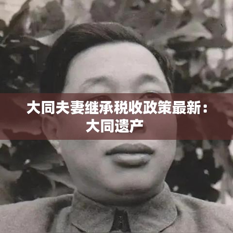 大同夫妻继承税收政策最新:大同遗产
