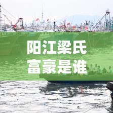 阳江梁氏富豪是谁呀最新消息:阳江梁氏族谱字辈