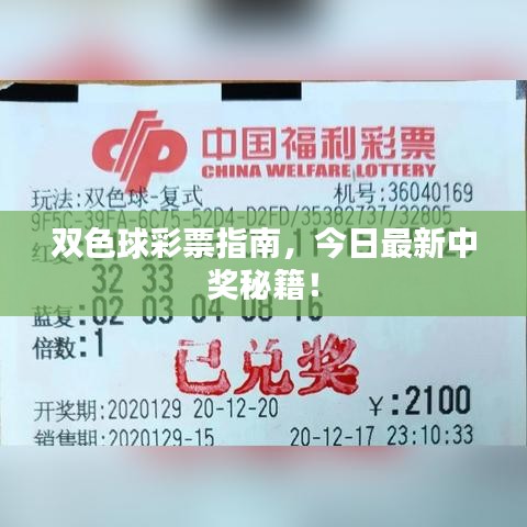 双色球彩票指南,今日最新中奖秘籍!