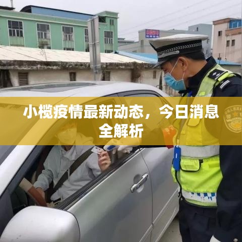 小榄疫情最新动态，今日消息全解析