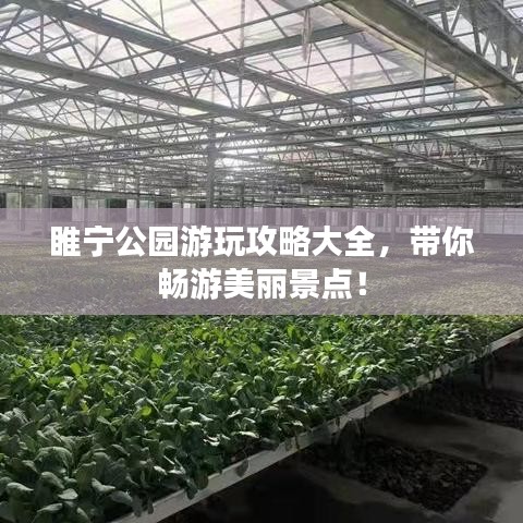 睢宁公园游玩攻略大全,带你畅游美丽景点!