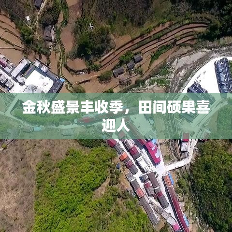 金秋盛景丰收季,田间硕果喜迎人