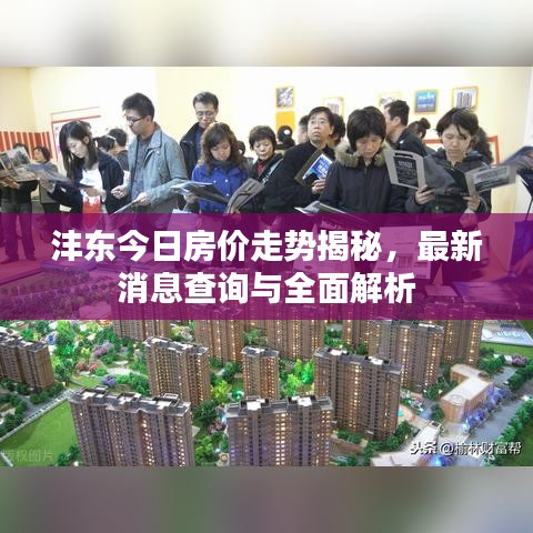 沣东今日房价走势揭秘,最新消息查询与全面解析