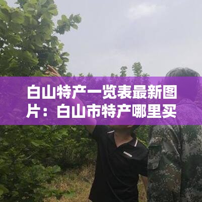 张皇铺饰 第4页