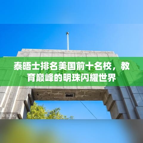 泰晤士排名美国前十名校,教育巅峰的明珠闪耀世界