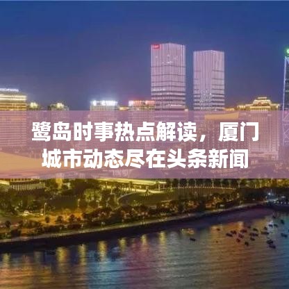 鹭岛时事热点解读,厦门城市动态尽在头条新闻