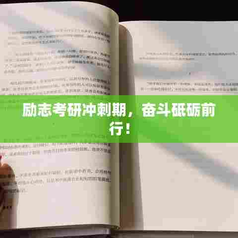 励志考研冲刺期,奋斗砥砺前行!