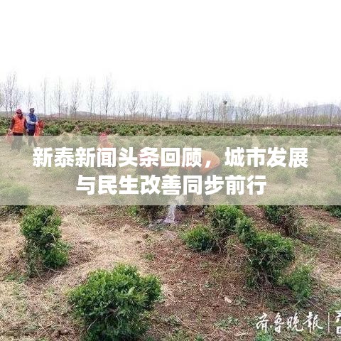新泰新闻头条回顾,城市发展与民生改善同步前行