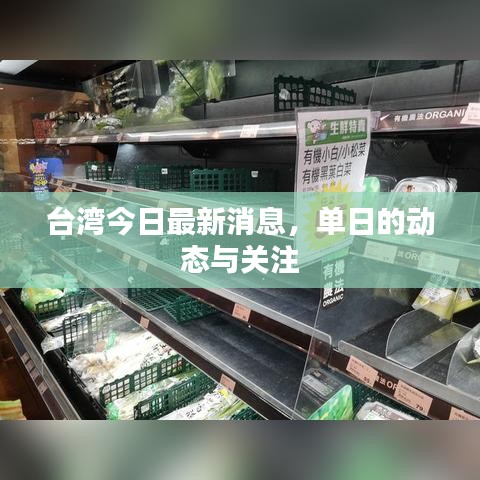 台湾今日最新消息,单日的动态与关注