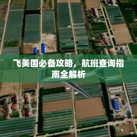 飞美国必备攻略,航班查询指南全解析