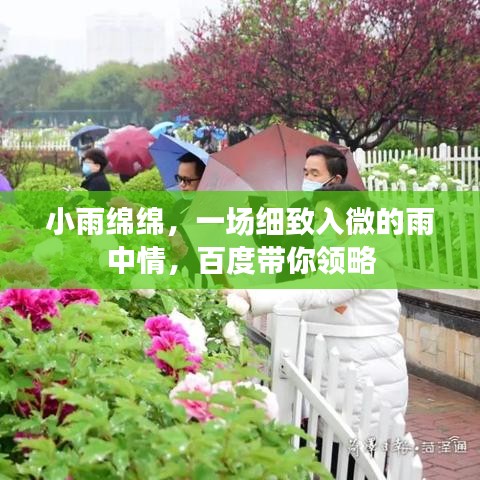 小雨绵绵,一场细致入微的雨中情,百度带你领略