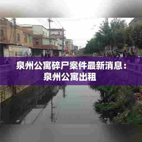 泉州公寓碎尸案件最新消息:泉州公寓出租