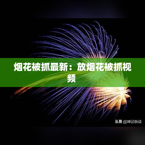 烟花被抓最新:放烟花被抓视频