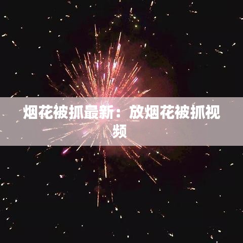 烟花被抓最新:放烟花被抓视频