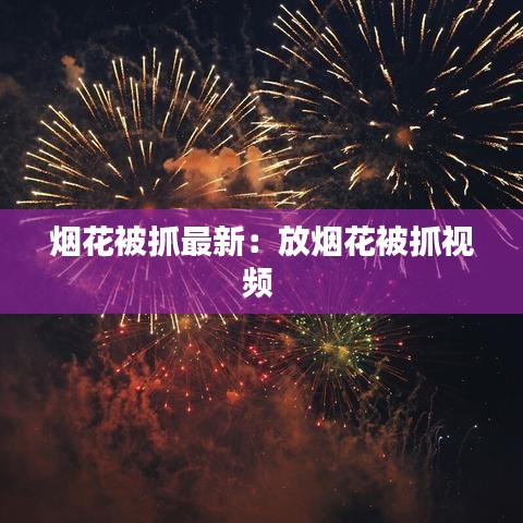 烟花被抓最新:放烟花被抓视频