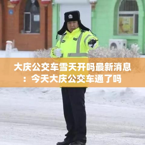 大庆公交车雪天开吗最新消息:今天大庆公交车通了吗
