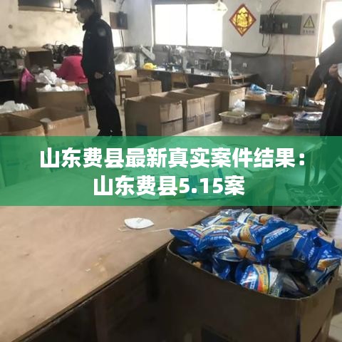 山东费县最新真实案件结果:山东费县5.15案