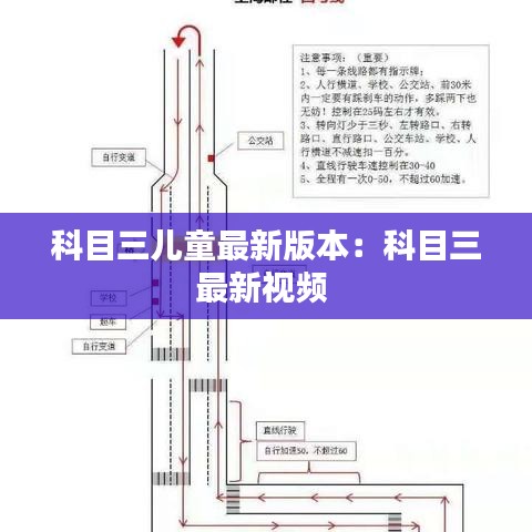 科目三儿童最新版本:科目三最新视频