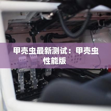 甲壳虫最新测试:甲壳虫性能版