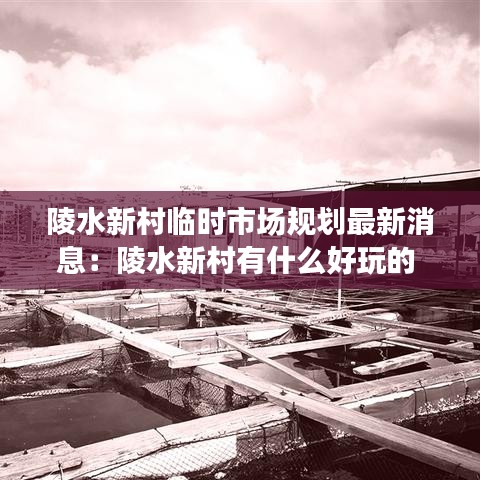 陵水新村临时市场规划最新消息:陵水新村有什么好玩的