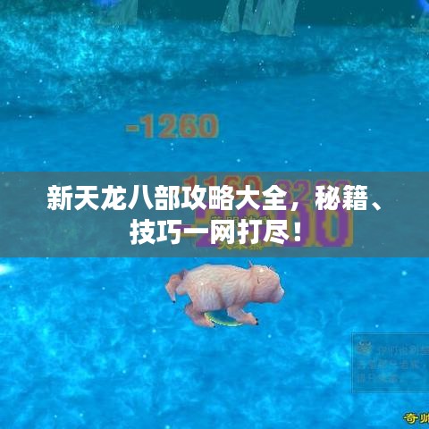 新天龙八部攻略大全,秘籍、技巧一网打尽!