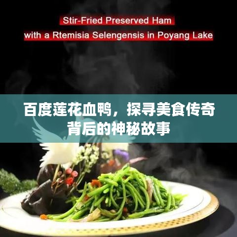 百度莲花血鸭,探寻美食传奇背后的神秘故事
