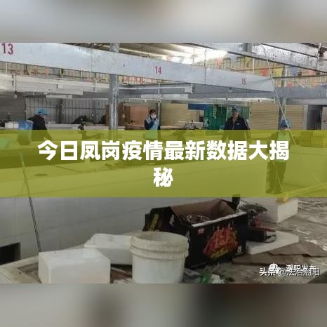 今日凤岗疫情最新数据大揭秘