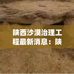 陕西沙漠治理工程最新消息:陕西沙漠旅游