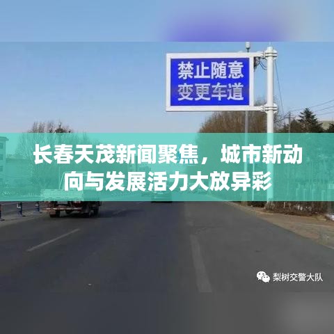 长春天茂新闻聚焦,城市新动向与发展活力大放异彩