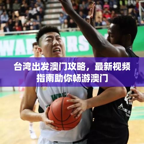 台湾出发澳门攻略,最新视频指南助你畅游澳门