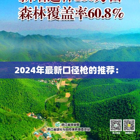 2024年最新口径枪的推荐: