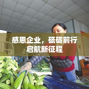 感恩企业，砥砺前行启航新征程