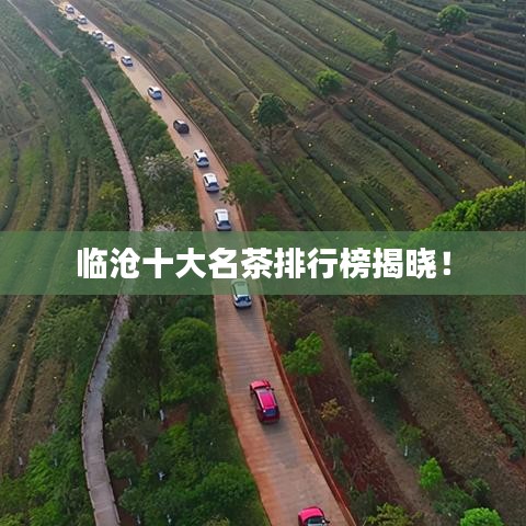 临沧十大名茶排行榜揭晓!