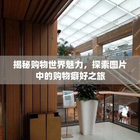 揭秘购物世界魅力,探索图片中的购物癖好之旅