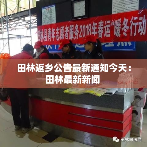 田林返乡公告最新通知今天:田林最新新闻