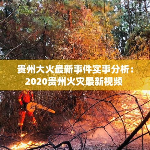 贵州大火最新事件实事分析:2020贵州火灾最新视频