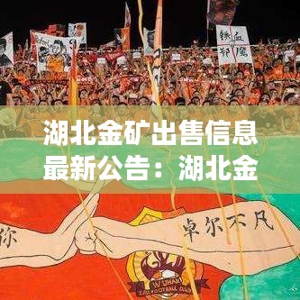 湖北金矿出售信息最新公告:湖北金矿最多的地方