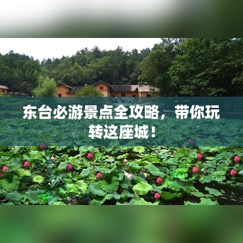 东台必游景点全攻略，带你玩转这座城！
