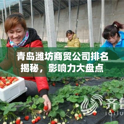 青岛潍坊商贸公司排名揭秘,影响力大盘点