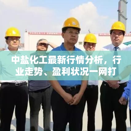 中盐化工最新行情分析,行业走势、盈利状况一网打尽!