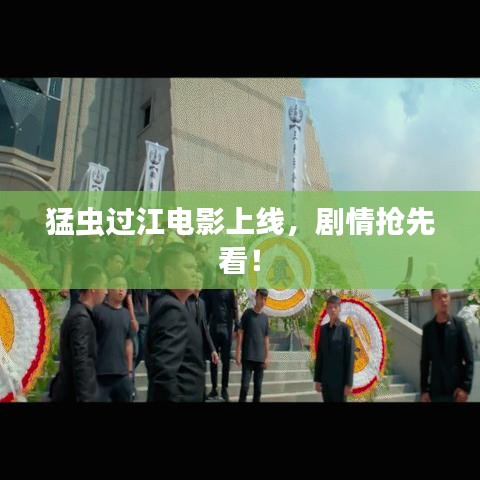 猛虫过江电影上线,剧情抢先看!