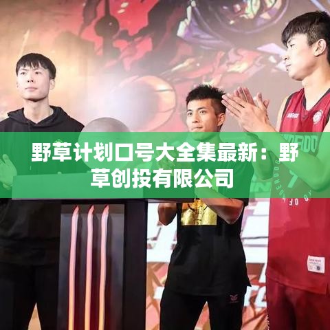 野草计划口号大全集最新:野草创投有限公司