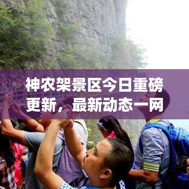 神农架景区今日重磅更新,最新动态一网打尽!