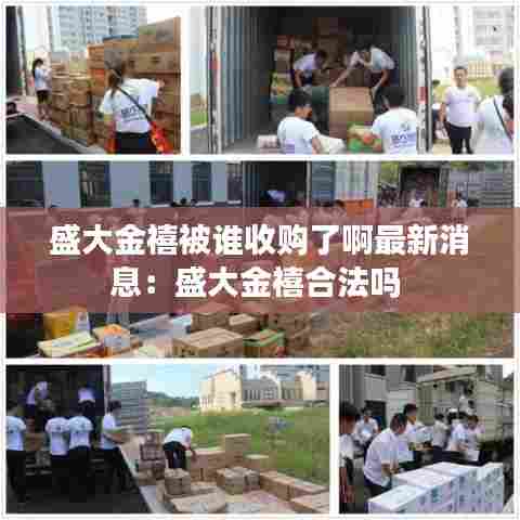 盛大金禧被谁收购了啊最新消息:盛大金禧合法吗