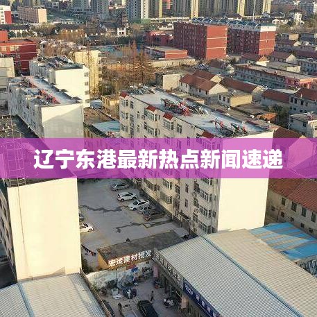 辽宁东港最新热点新闻速递