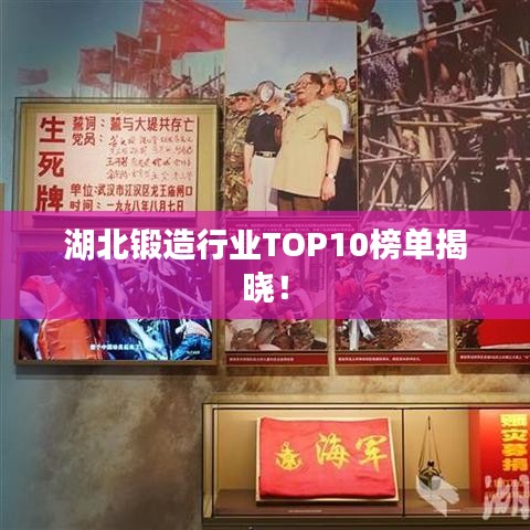 湖北锻造行业TOP10榜单揭晓!