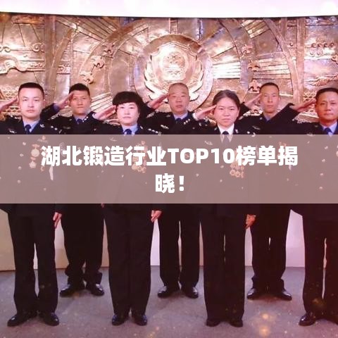 湖北锻造行业TOP10榜单揭晓!